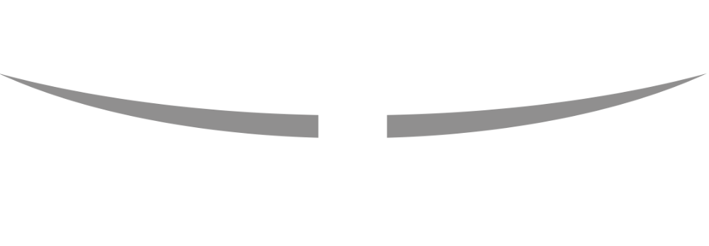 VetsaN - Hospital Veterinário 24 horas em Curitiba