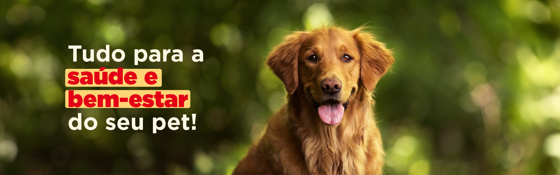 VetsaN Saúde e Bem-Estar do Seu Pet
