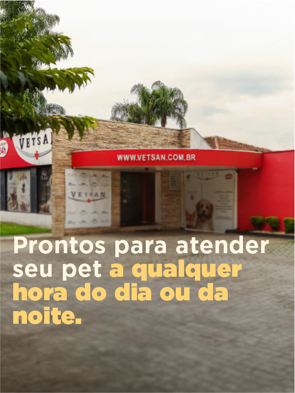 home_vetsan_mobile_2