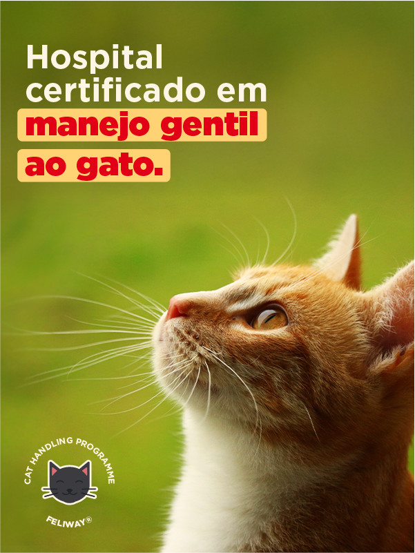 home_vetsan_mobile_3